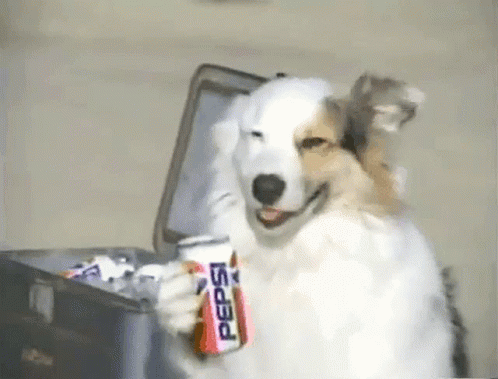 pepsi dog