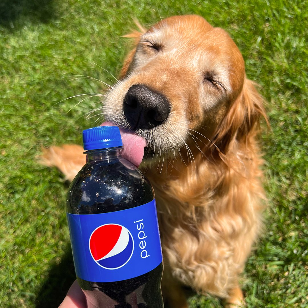pepsi dog